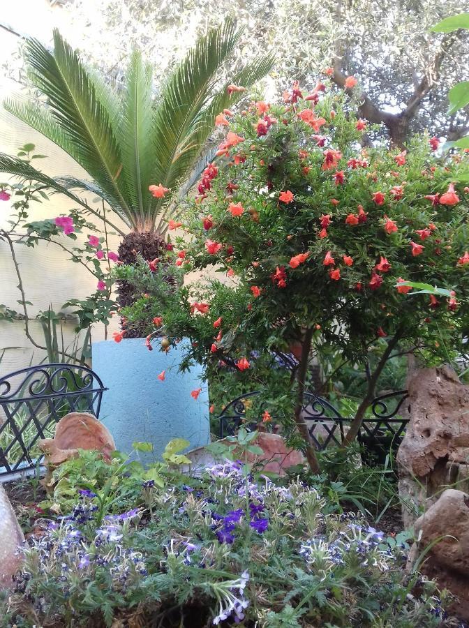 Locazioni Brevi La Rosaviola Guest Rooms Teulada Εξωτερικό φωτογραφία